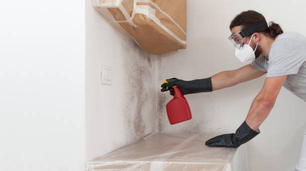 Professional Crawl Space Mold Remediation technician working in New Milford, NJ