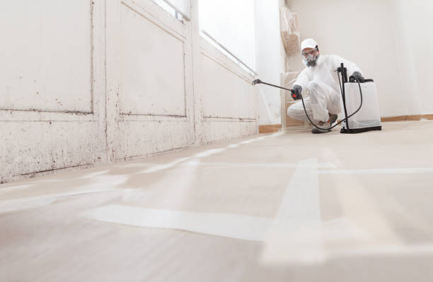 24/7 Emergency Crawl Space Mold Remediation experts in New Milford, NJ
