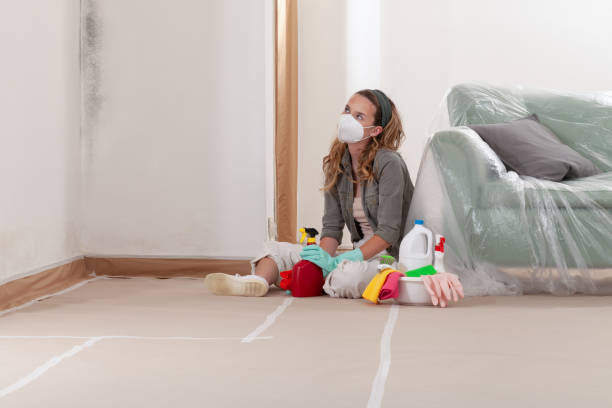 Reliable Crawl Space Mold Remediation contractor in New Milford, NJ by 24 Hour Mold Removal